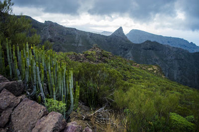 Scenic view of mountains against sky