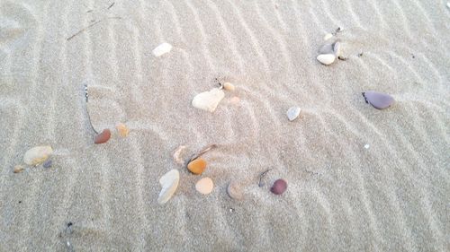 View of sandy beach