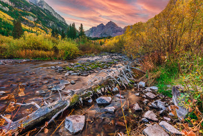 Scenic view of river stream amidst trees against sky during autumn