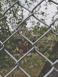 Close-up of chainlink fence against sky