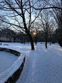 Bare trees on snow covered landscape