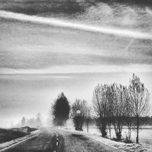 Road passing through trees