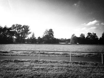 Scenic view of grassy field against sky