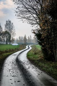 Road amidst trees against sky