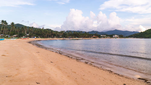 Nacpan beach palawan, philippines. sandy beach lined with palm trees bay shore ocean water.