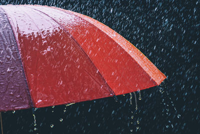 Close-up of wet red leaf during rainy season