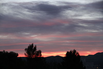 Silhouette trees against sky at sunset