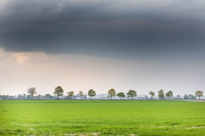 Scenic view of field against sky