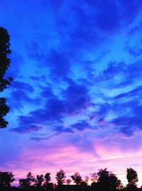 Low angle view of trees against cloudy sky