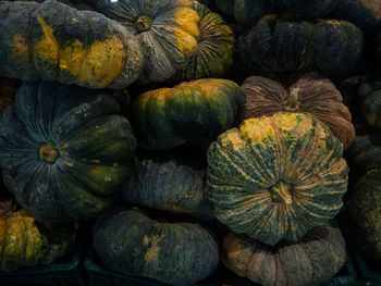 Full frame shot of pumpkins