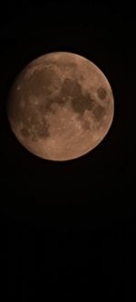 View of moon against dark sky