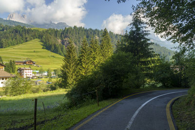 Road amidst trees and buildings against sky