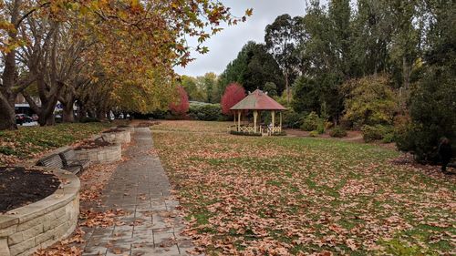 Footpath amidst trees in park during autumn