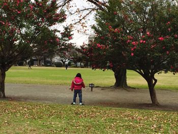 Rear view of woman walking in park