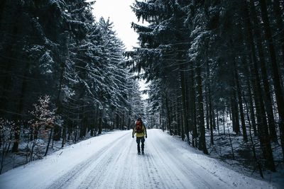 Rear view of man walking on snow covered road in forest