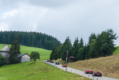 Panoramic shot of trees on field against sky