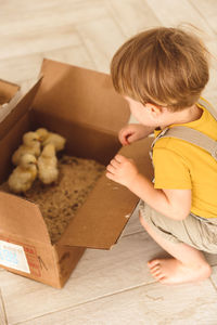 Boy playing with ducks for easter