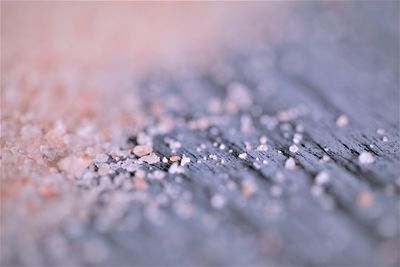Close-up of salt on table