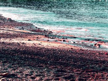 Scenic view of beach