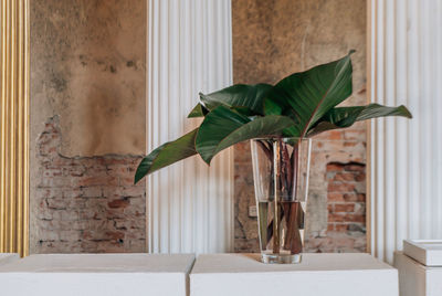 Vase with philodendron leaves on the background of the wall and columns.