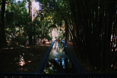 Fountain in park