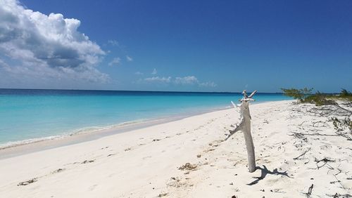 View of beach against blue sky