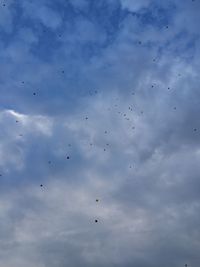 Low angle view of birds flying in sky