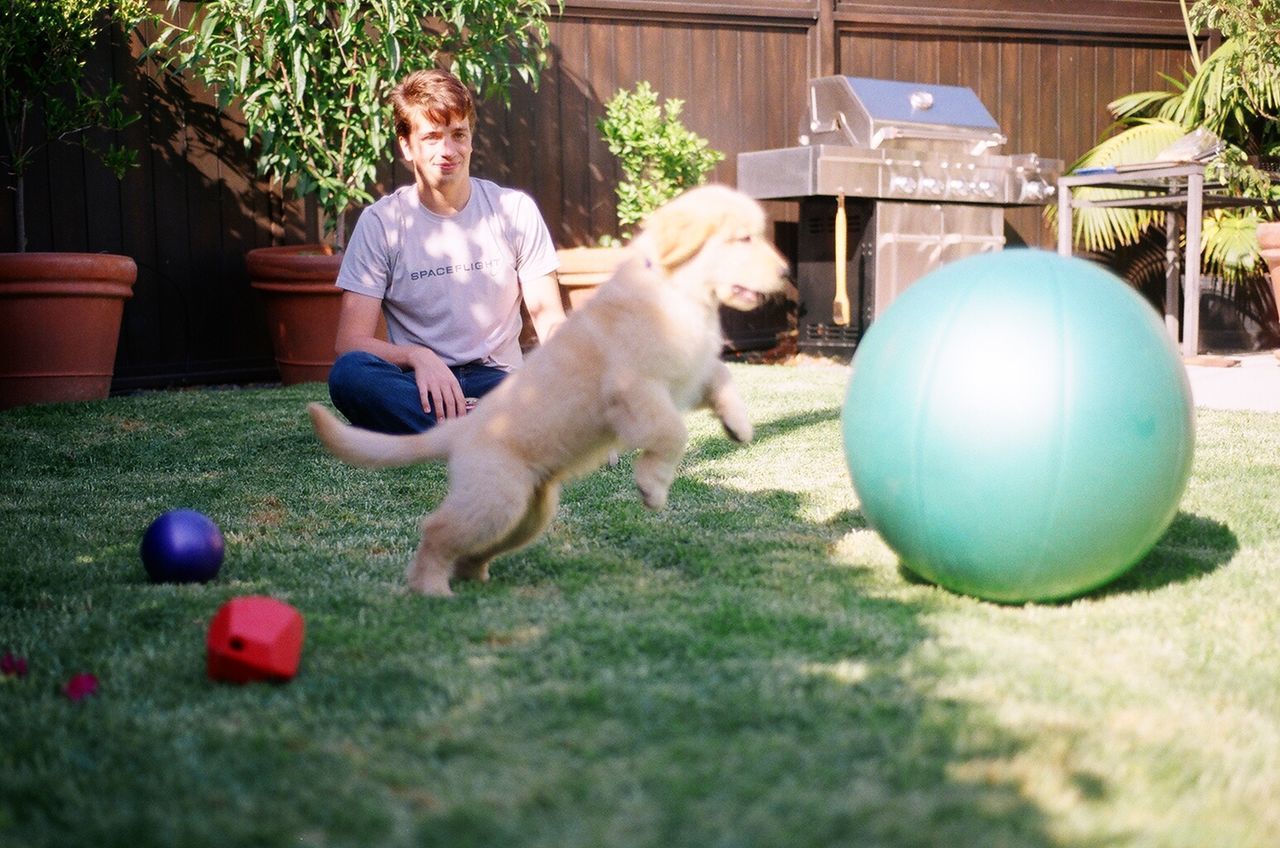TWO DOGS PLAYING WITH BALL