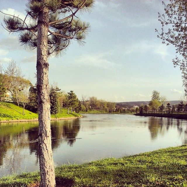 tree, water, sky, tranquility, tranquil scene, lake, scenics, beauty in nature, nature, grass, growth, reflection, tree trunk, cloud - sky, cloud, river, idyllic, lakeshore, green color, day