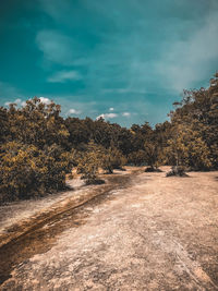 Road amidst trees against sky