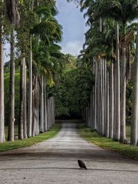 View of a footpath