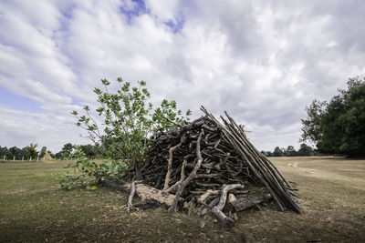 Firewood from agriculture in the countryside outside the big city