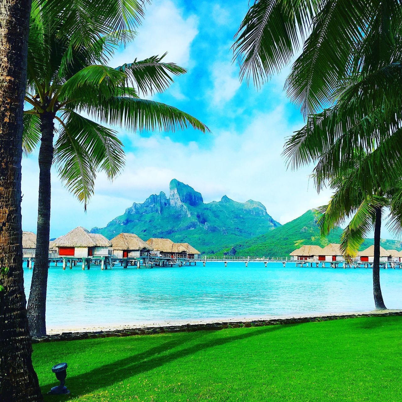 sea, sky, blue, palm tree, nature, water, beauty in nature, scenics, cloud - sky, beach, tree, tranquility, outdoors, no people, tranquil scene, growth, tropical climate, day, mountain, postcard