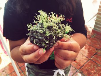 Close-up of hand holding plant