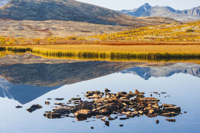 Autumn reflection at lake in mountain landscape, norway. autumn colors