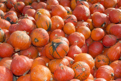 Full frame shot of pumpkins