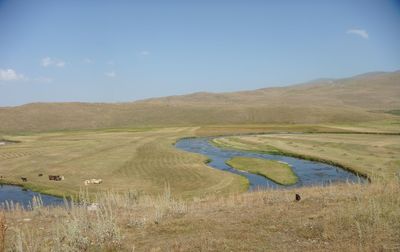 Scenic view of landscape against blue sky