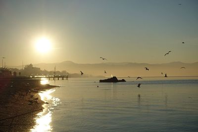 Silhouette birds flying over sea against clear sky