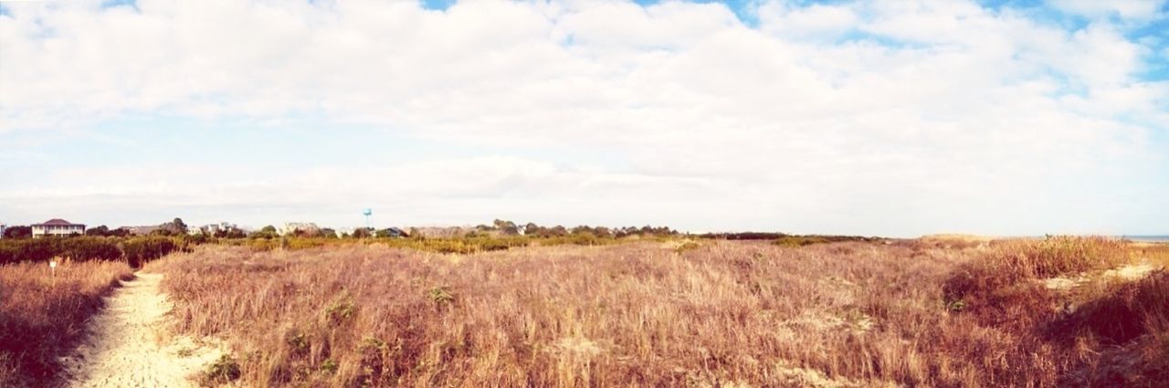 sky, field, landscape, grass, tranquil scene, tranquility, rural scene, scenics, nature, cloud - sky, agriculture, cloud, beauty in nature, growth, horizon over land, farm, plant, non-urban scene, day, dry