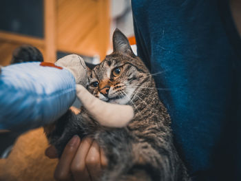 Midsection of person with cat