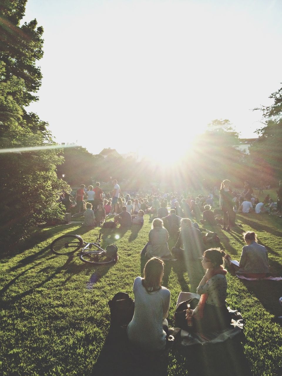 sun, sunbeam, sunlight, clear sky, lens flare, tree, sky, sunny, tranquility, grass, nature, landscape, tranquil scene, field, day, beauty in nature, scenics, outdoors, bright, growth