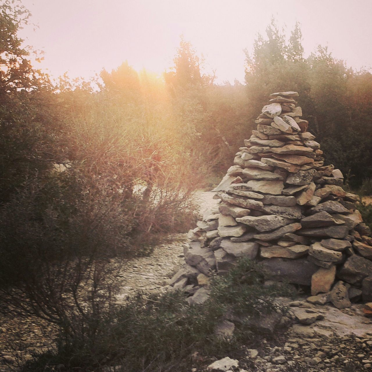 tranquility, tranquil scene, tree, nature, rock - object, scenics, beauty in nature, landscape, clear sky, non-urban scene, sunlight, sun, sky, rock formation, forest, growth, outdoors, plant, idyllic, non urban scene