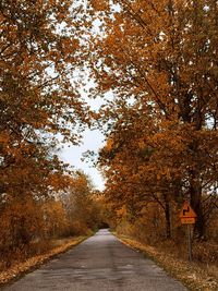 Road amidst trees against sky