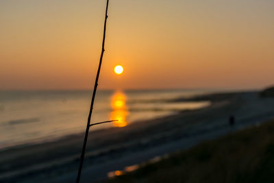 Close-up of silhouette beach against sky during sunset