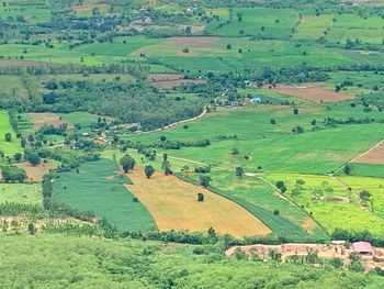 High angle view of agricultural field