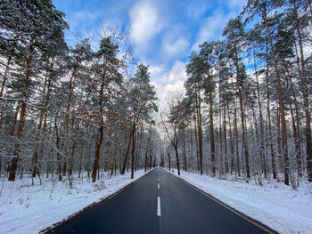 Road amidst trees against sky during winter