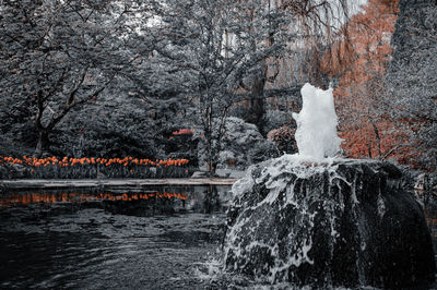 Scenic view of waterfall in forest