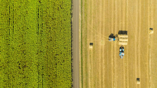 Full frame shot of field