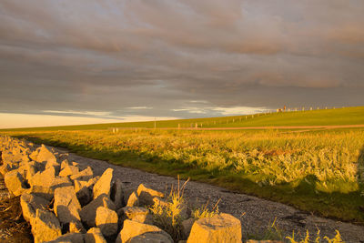 Scenic view of agricultural field against sky during sunset