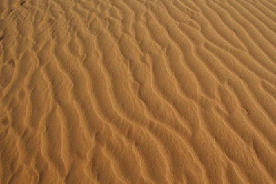 Full frame shot of sand dunes